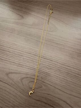 Crescent Moon Charm Necklace